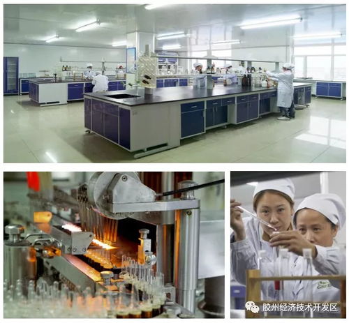 集中簽約，示范區(qū)明星企業(yè)精彩亮相——精心設(shè)計(jì)網(wǎng)站助力招商盛會