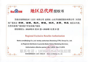 圖片資源與數(shù)字基建雙輪驅(qū)動 淄博總代理視角下的網(wǎng)站建設(shè)新機(jī)遇